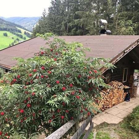 Wasserfallhuette Saalbach Экстерьер фото