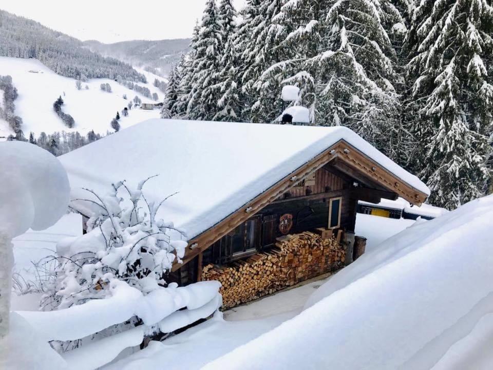Wasserfallhuette Saalbach Экстерьер фото